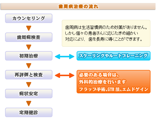 歯周病治療の流れ